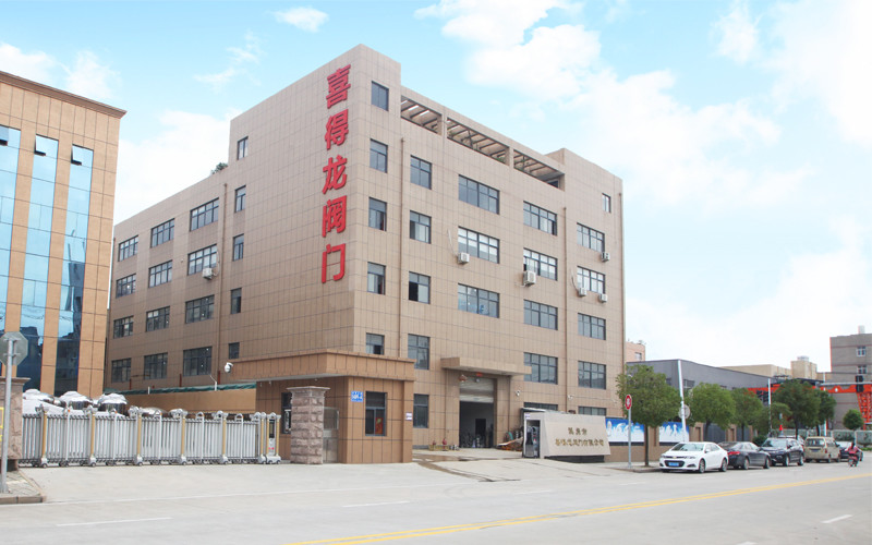 CINA Wenzhou Xidelong Valve Co. LTD Profil Perusahaan