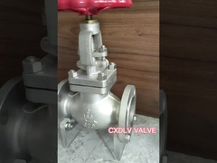 Industrial Globe Valve Gate Valve Motif Pneumatik Tekanan Tinggi