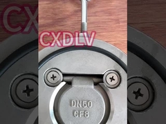 Katup Periksa Ayun Cakram Tunggal Wafer Industri