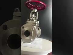 PTFE Gasket 150LB Handwheel SS 3 Inch Flanged Globe Valve