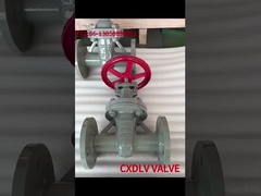 Katup Gerbang Batang Tidak Naik PN16