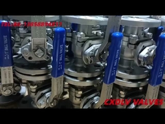 A216 Gr.WCB Flanged Ball Valve 2 Piece Parts dengan Handle Lever PN16