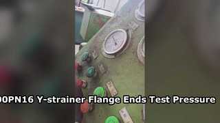 Tekanan Uji Cangkang Badan untuk Saringan Y Ujung Flange