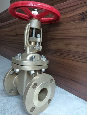 Koneksi Flange Katup Gerbang Baja Tahan Karat CF8 untuk Aplikasi Industri dan Tugas Berat