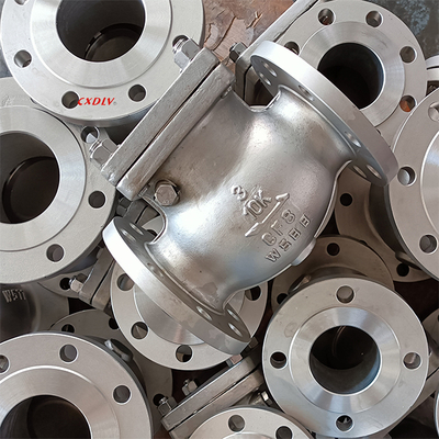 DN80 Stainless Steel Swing Check Valve Flange End JIS10K