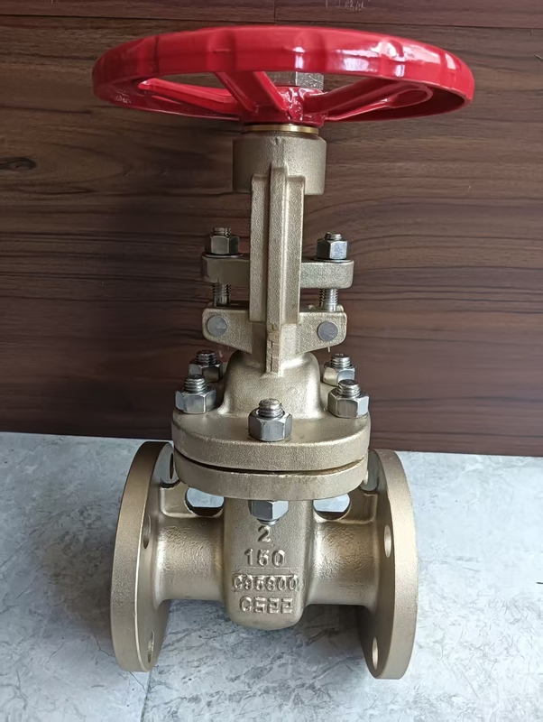 Koneksi Flange Katup Gerbang Baja Tahan Karat CF8 untuk Aplikasi Industri dan Tugas Berat