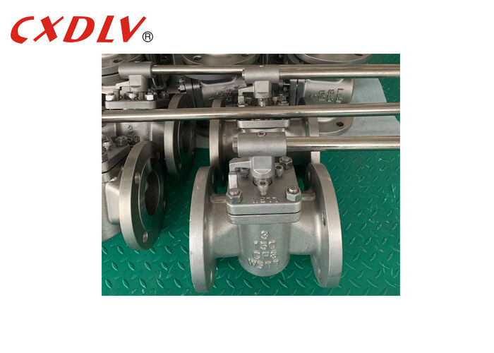Manual Operation Two-Way Sleeved Plug Valve CF8 Body Quarter-turn Valve with Handle Lever Operation 3 Inch 150LB RF