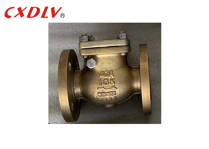C95800 Alloy Flange Ends Swing Check Valve JIS10K Untuk Pembangunan Kapal